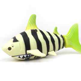 迷你小鲨鱼_迷你小鲨鱼价格_优质迷你小鲨鱼