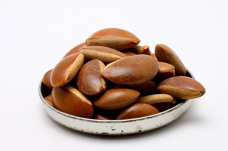 月亮豆菩提批发 菩提珠手串一斤160颗左右