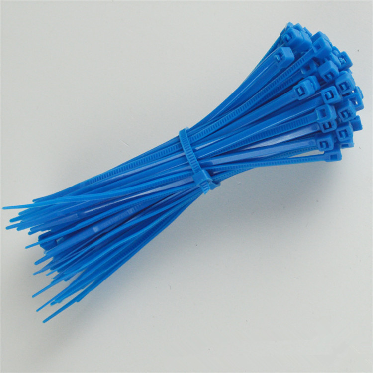 工厂批发尼龙扎带4*200mm蓝色 打包带 尼龙扎线带厂家现货扎线带