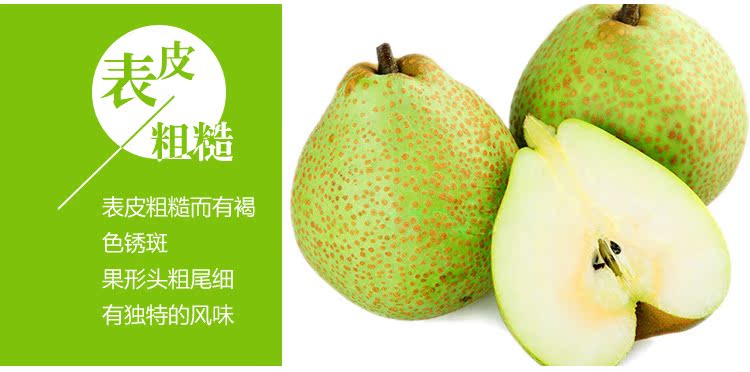 现货大量供应莱阳梨 茌梨 个头大 清脆可口 价格合理