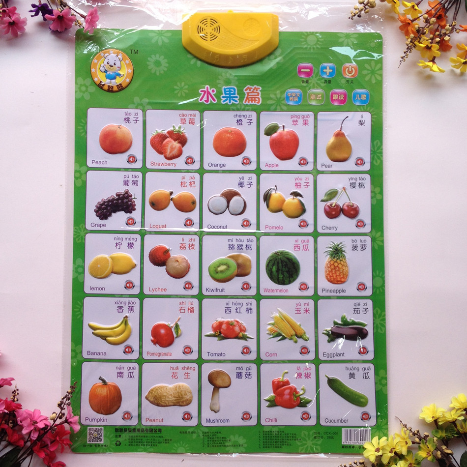 聪聪熊有声挂图 凹凸发声婴幼儿教具 儿童早教益智玩具 厂家直销