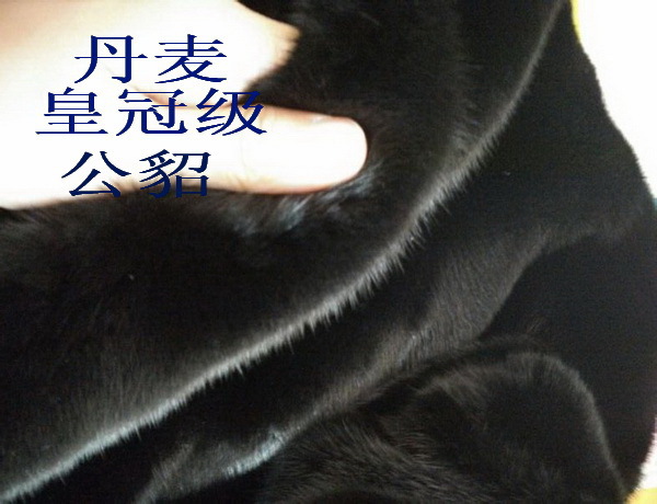 貂皮等级的区分