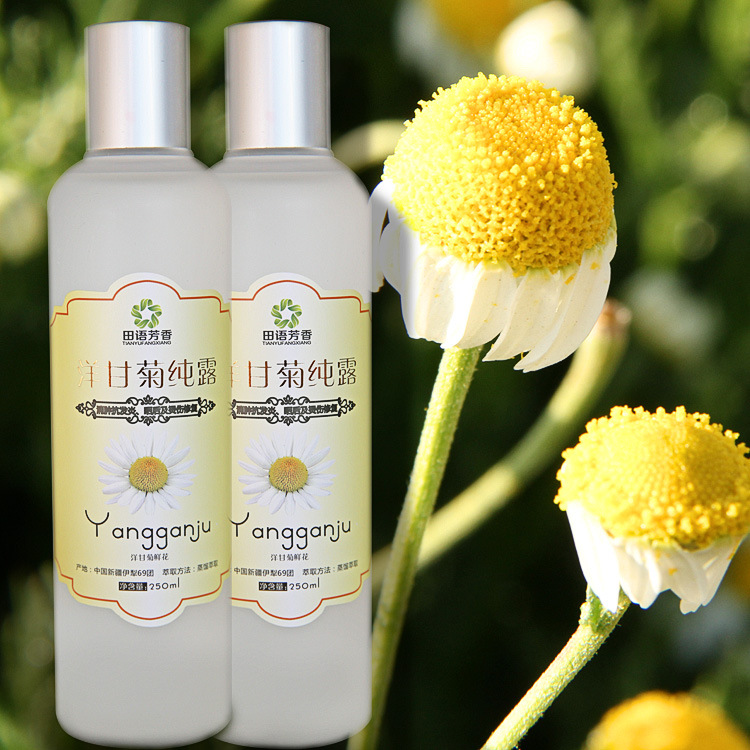 新疆罗马洋甘菊纯露,洋甘菊花水250ml