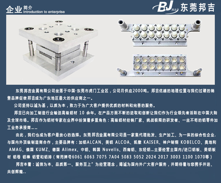 邦吉公司简介2