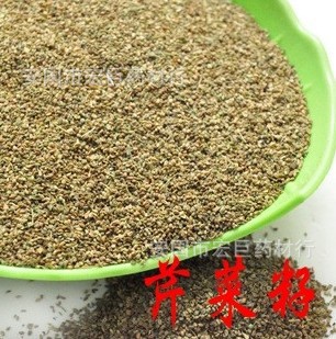 中药材 芹菜籽 籽类大全 无硫新货 芹菜籽 品种齐全 代磨粉