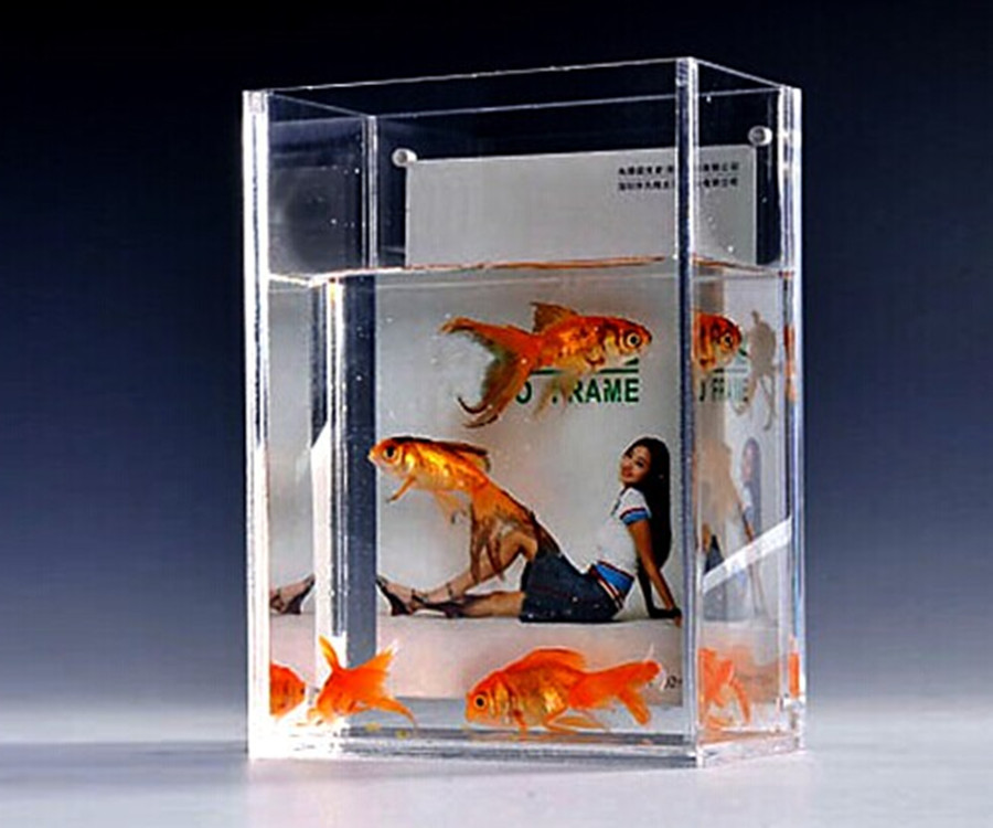 QQ图片20151204100024