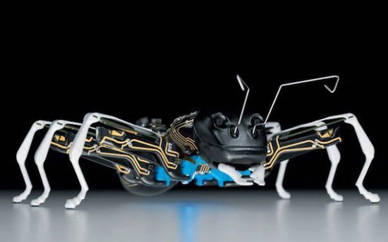 德国费斯托公司发布bionicant仿生蚂蚁机器人