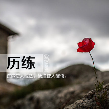 8. 历练:逆境使人成熟,绝境使人醒悟.