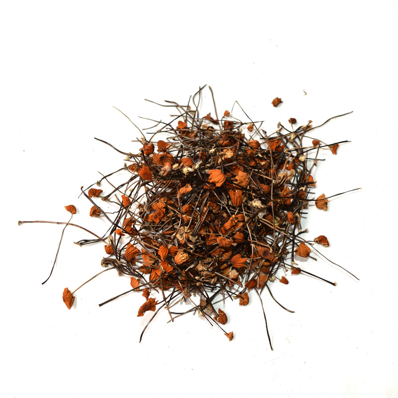 灵芝之家安络小皮伞中药材灵芝