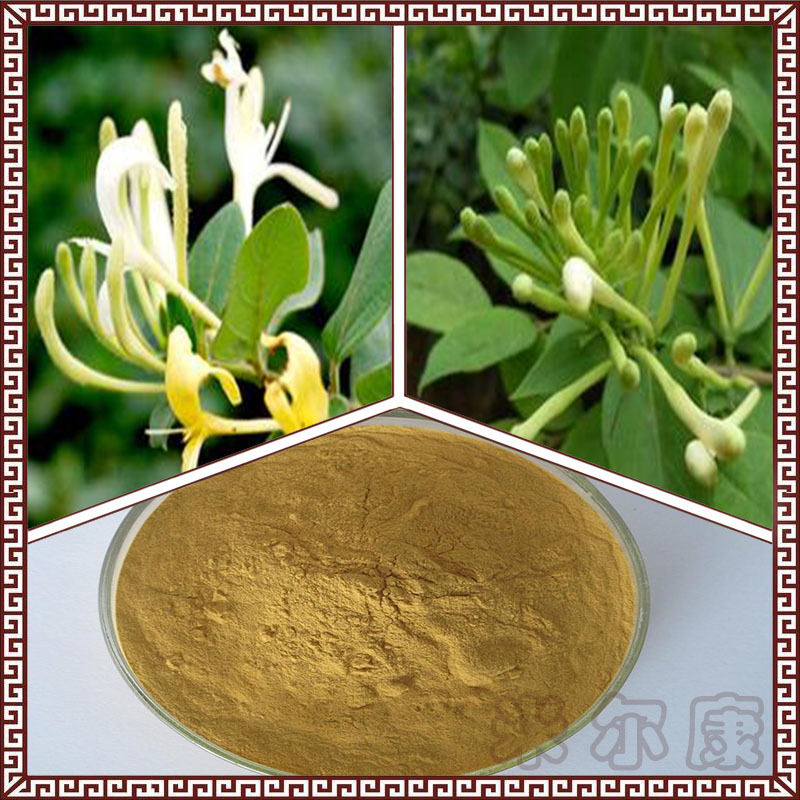 供应绿原酸10% 金银花提取物 欢迎咨询 厂家现货价 1kg起