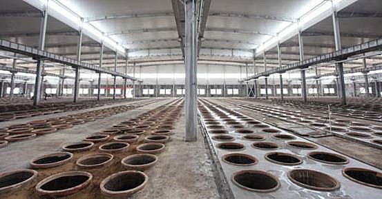 占地面积10000多平方,拥有职工300多人.