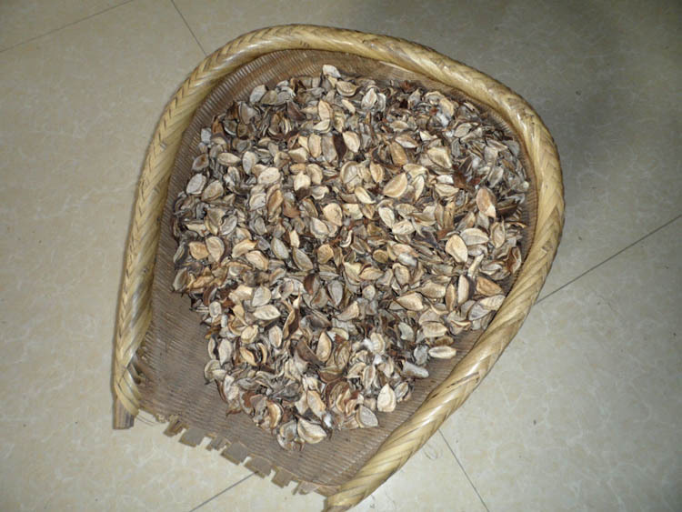 批量供应新棉花壳 棉花壳干花棉花壳 棉花壳香包棉花壳 量大从优