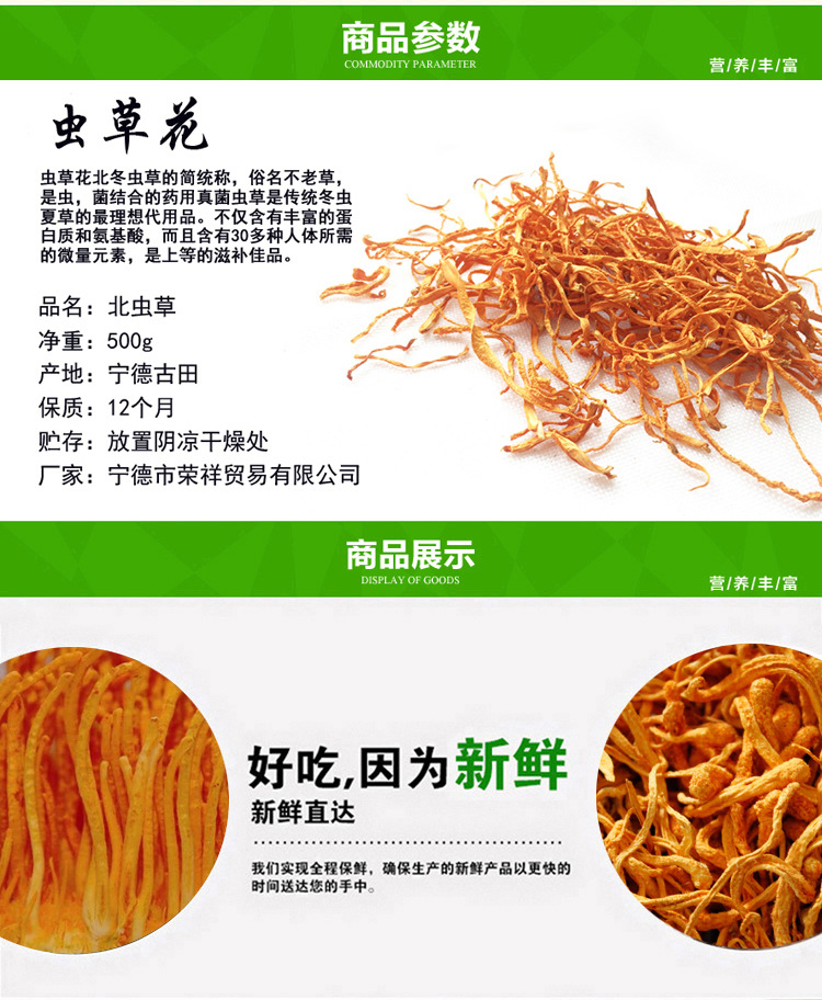 虫草片的功效与作用_虫草酒的功效与作用_虫草花什么功效与作用