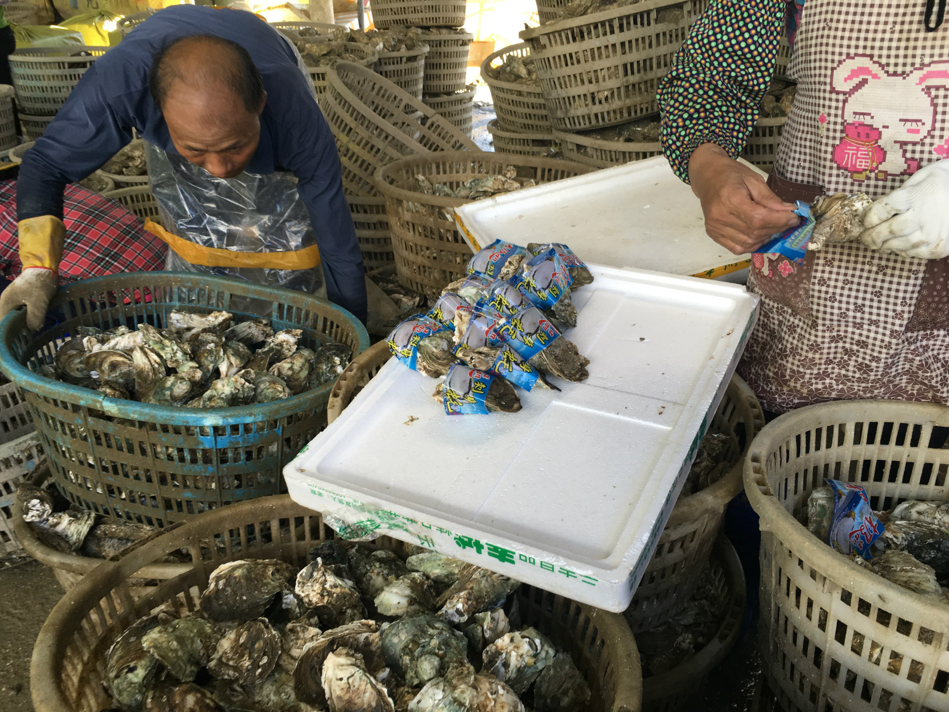 生蚝批发生意 生蚝批发生意