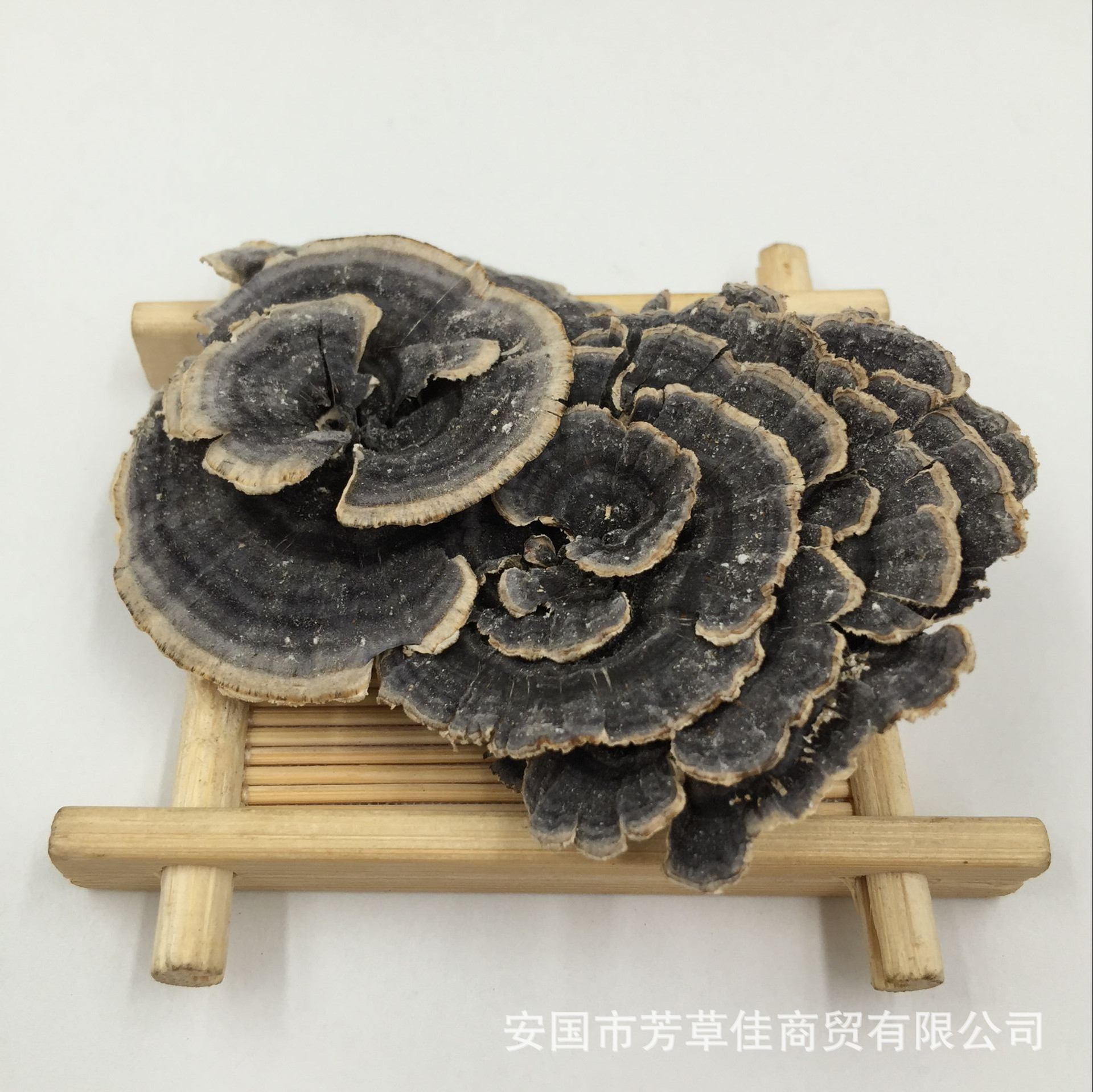 【别名】 杂色云芝, 彩绒革盖菌,杂色云芝 【产地】  云南