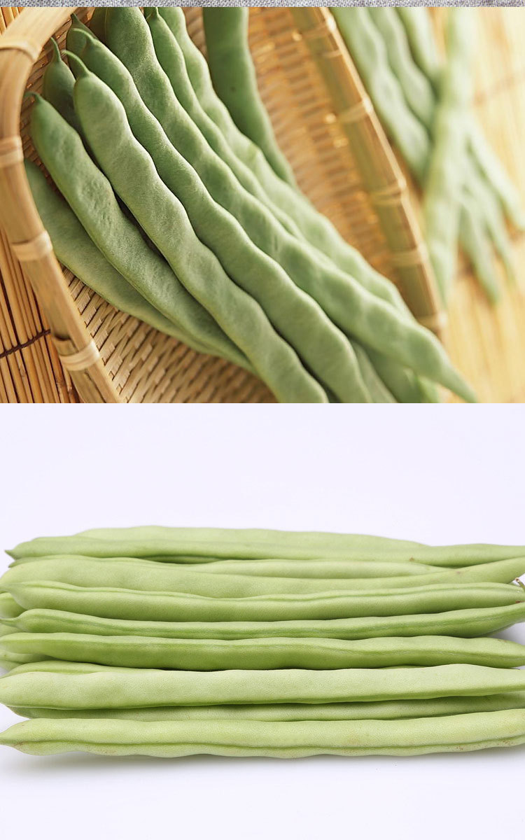 基地**新鲜健康食品原生态峨眉本地四季豆新鲜蔬菜