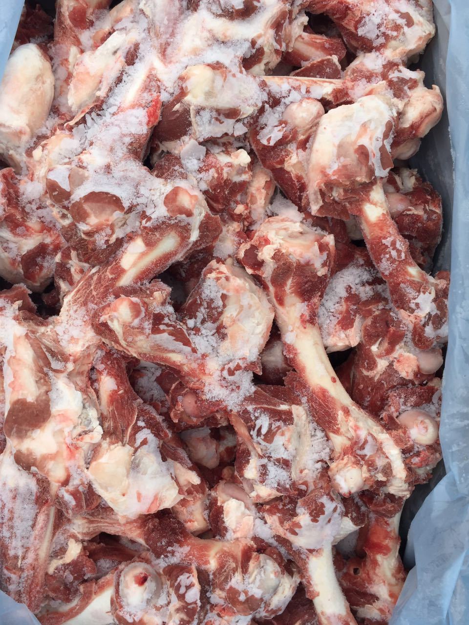 新西兰71羔羊后腿骨 肉多骨髓多 新鲜羊棒骨可用食材 大量批发