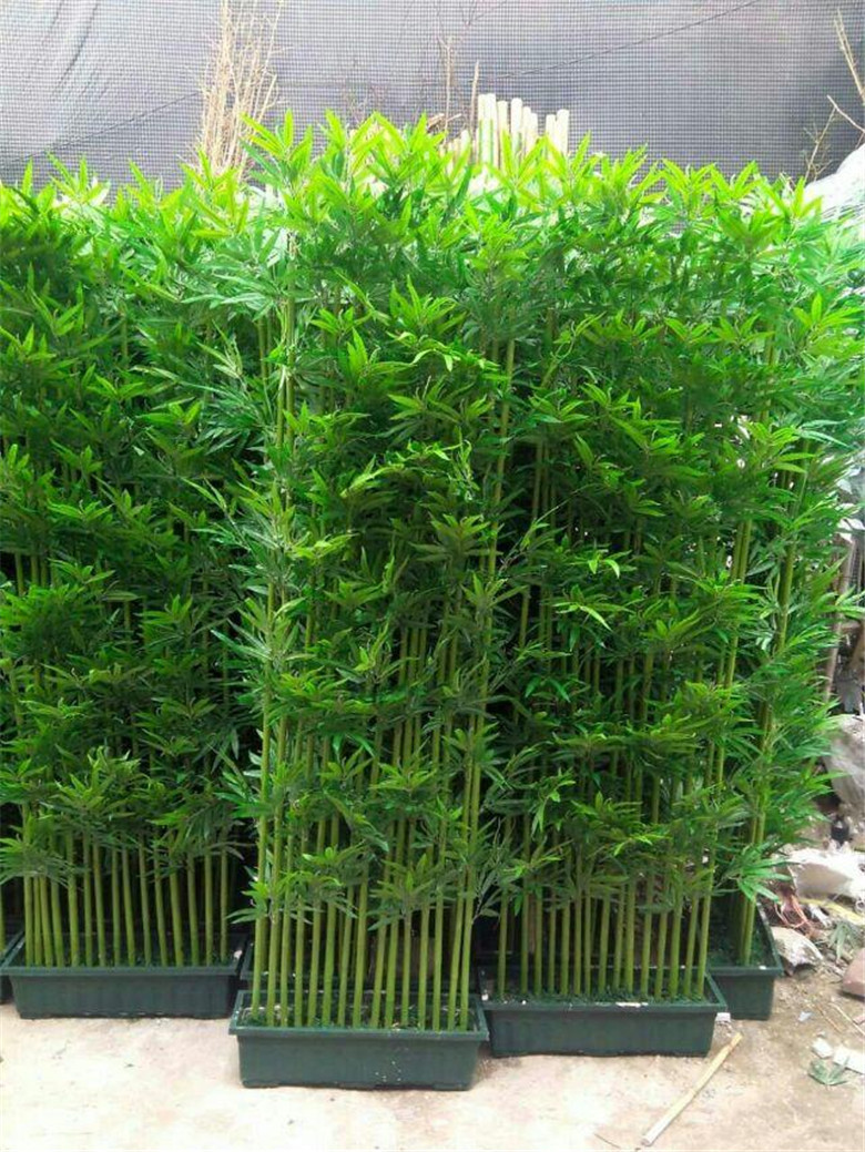 厂家直销仿真植物装饰 假竹子竹叶 业批发现货实拍加密仿真竹子