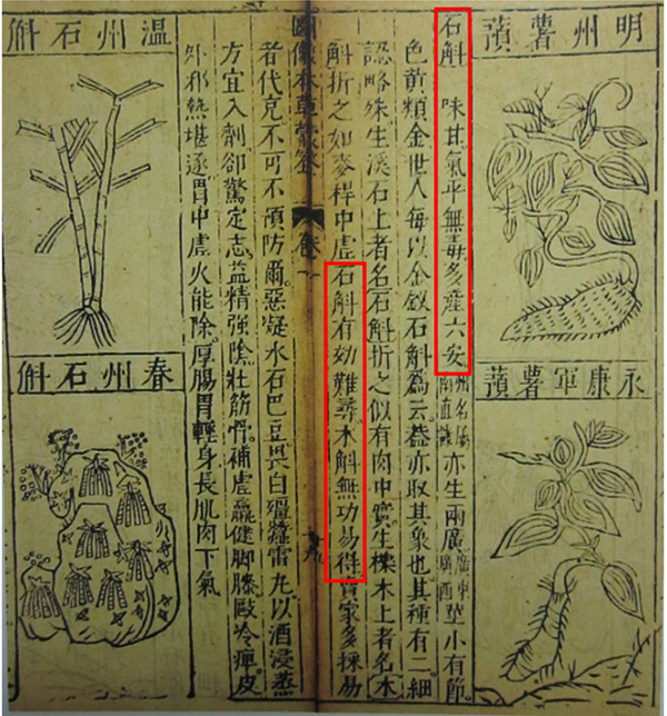 明李嘉谟《本草蒙筌》石斛