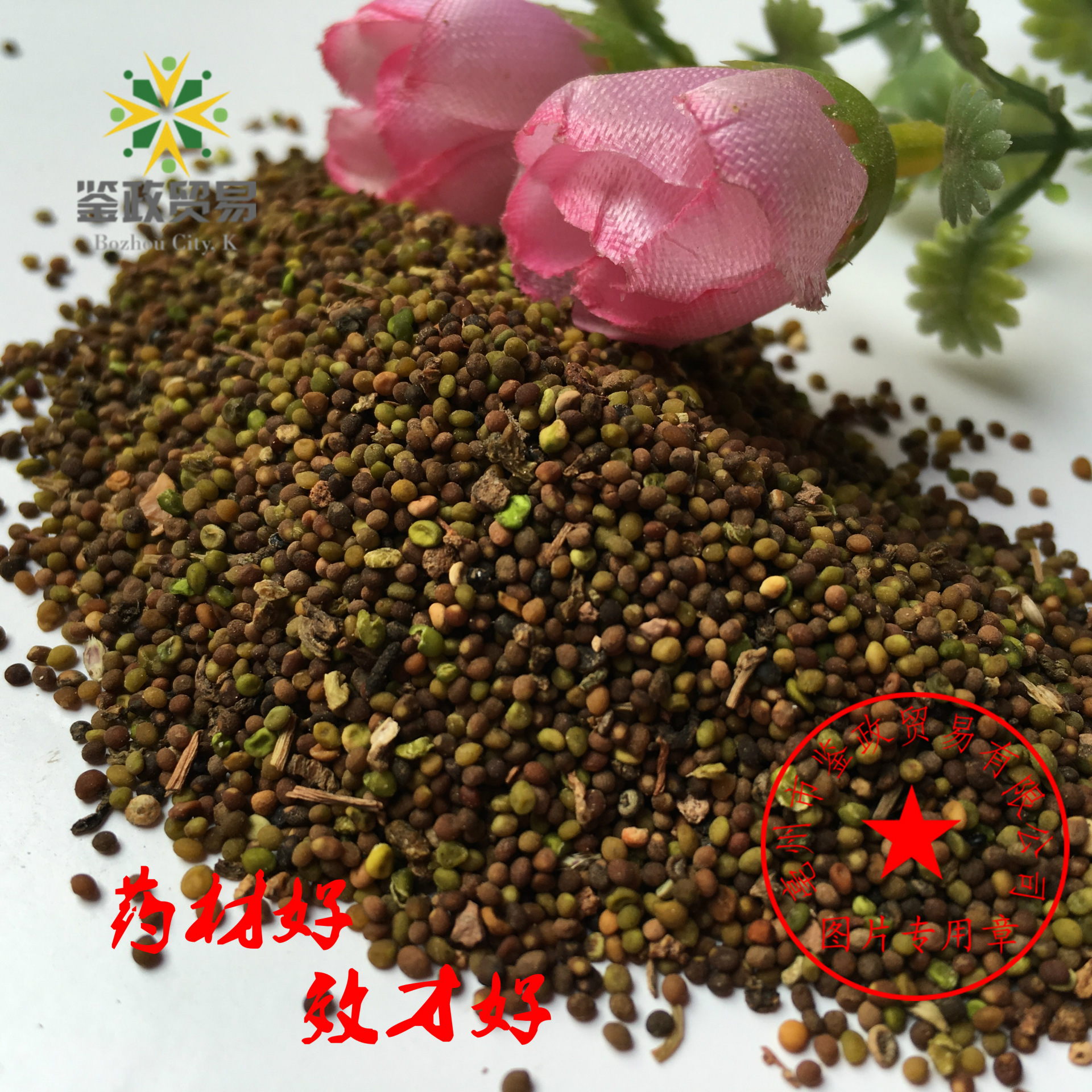 中药材 菟丝子 内蒙菟丝籽 散装种子 水洗兔丝子 无根藤