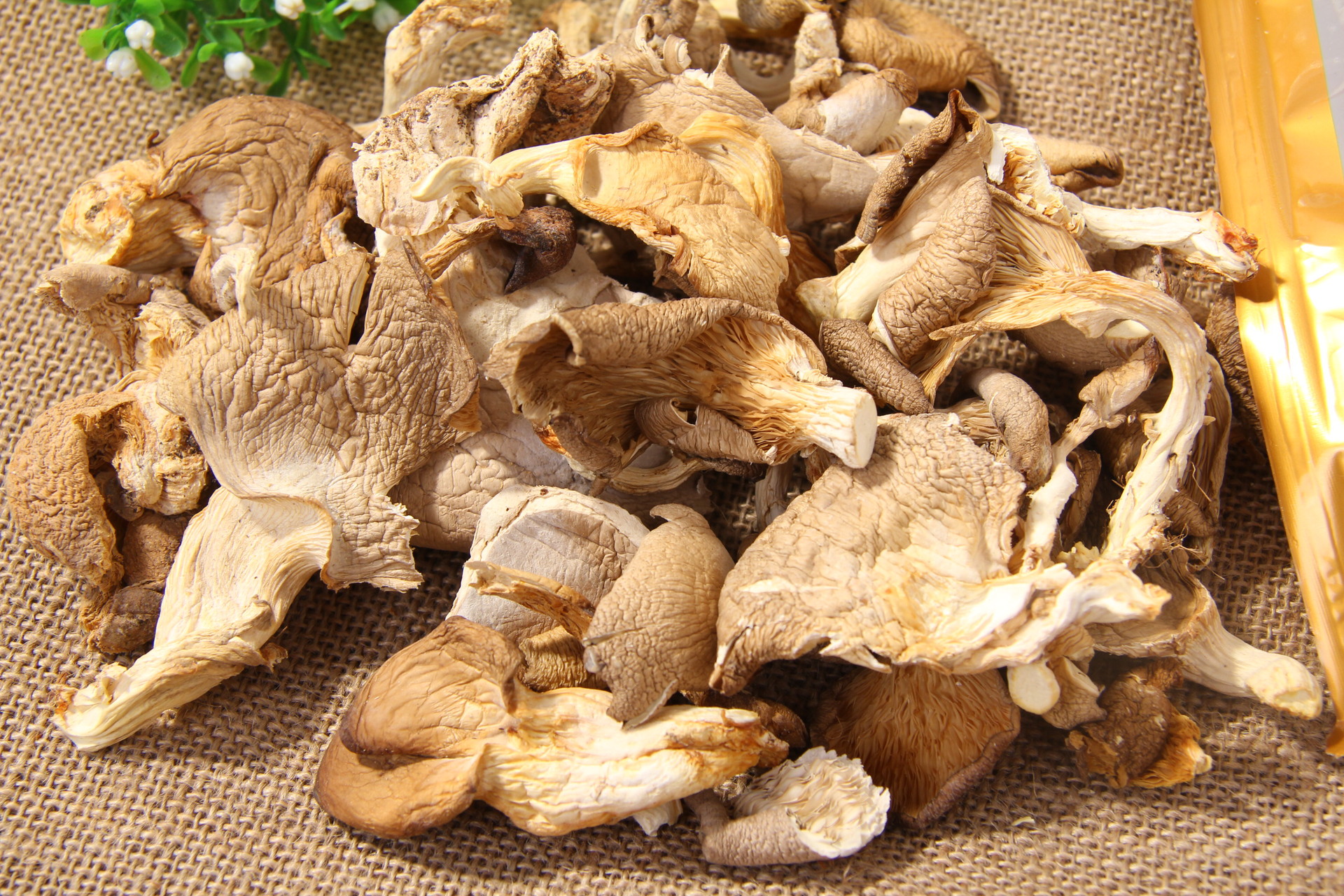 营养丰富 口感好优质鲍鱼菇 产地直销批发美味鲍鱼菇白灵菇杏鲍菇