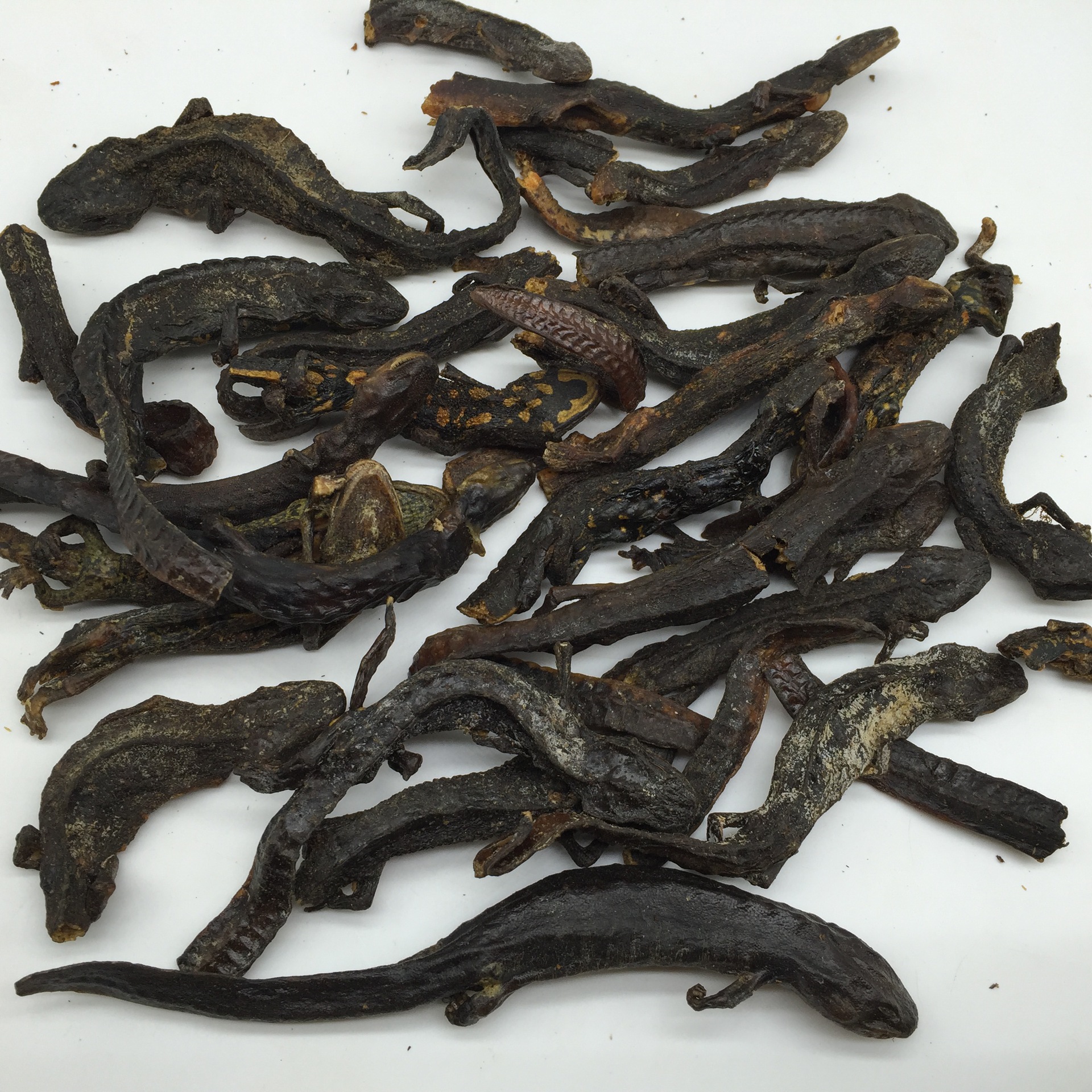 金安堂供应批发 羌活鱼 娃娃鱼 接骨丹 大龙 免费打粉 大量批发