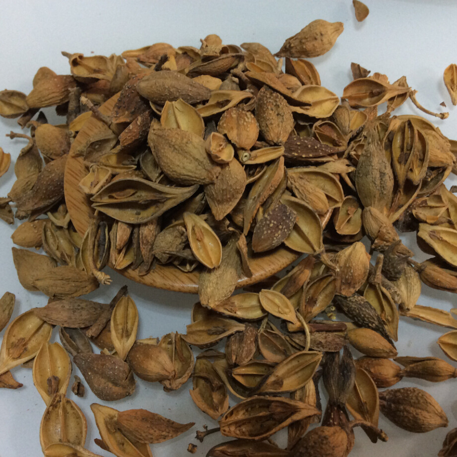 中药材批发精品连翘青翘老翘黄翘清热消肿散结正品保证