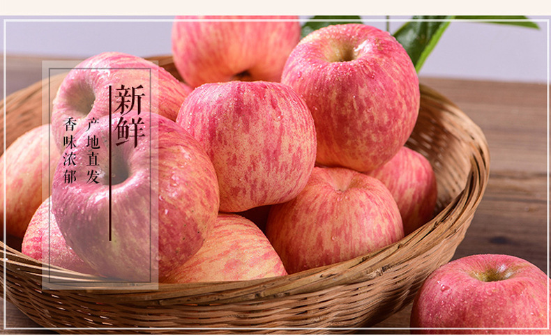 烟台苹果山东特产栖霞红富士礼盒装 脆甜新鲜苹果水果10斤包邮