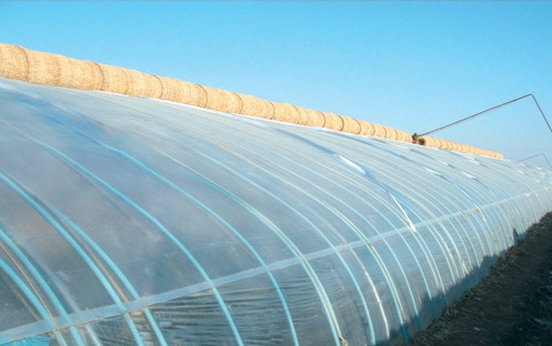 五层共挤大棚膜