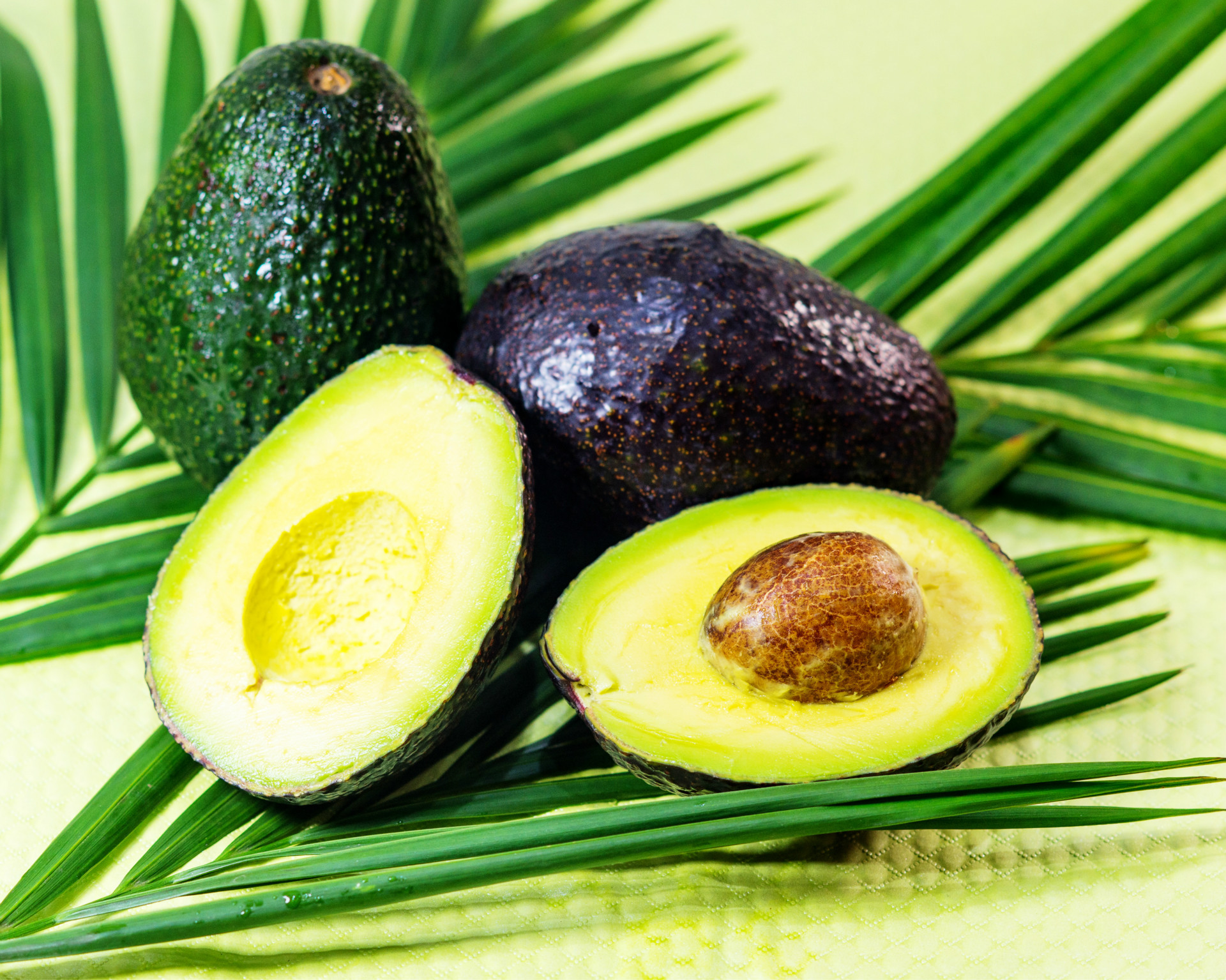 水果批发 墨西哥 牛油果 进口水果批发鳄梨森林奶油 18个.