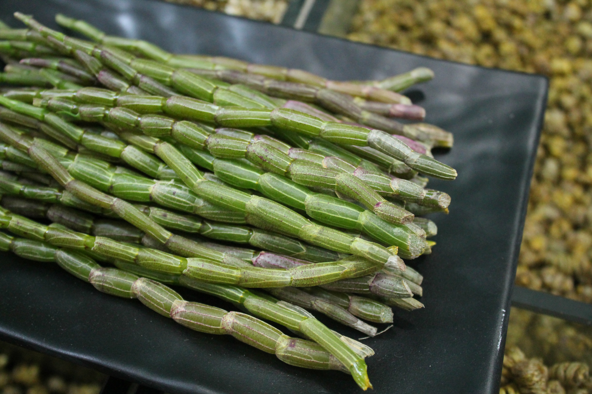 基地直供 新鲜石斛鲜条 新鲜霍山石斛鲜条 多胶质 批发零售