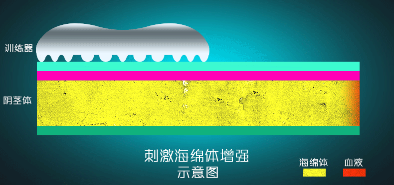 阴茎插动态 男人的大硬茎动态图
