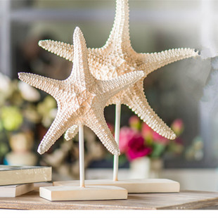 一件代发 美式乡村高端海洋树脂工艺品 桌面家居摆件 摆设三件套