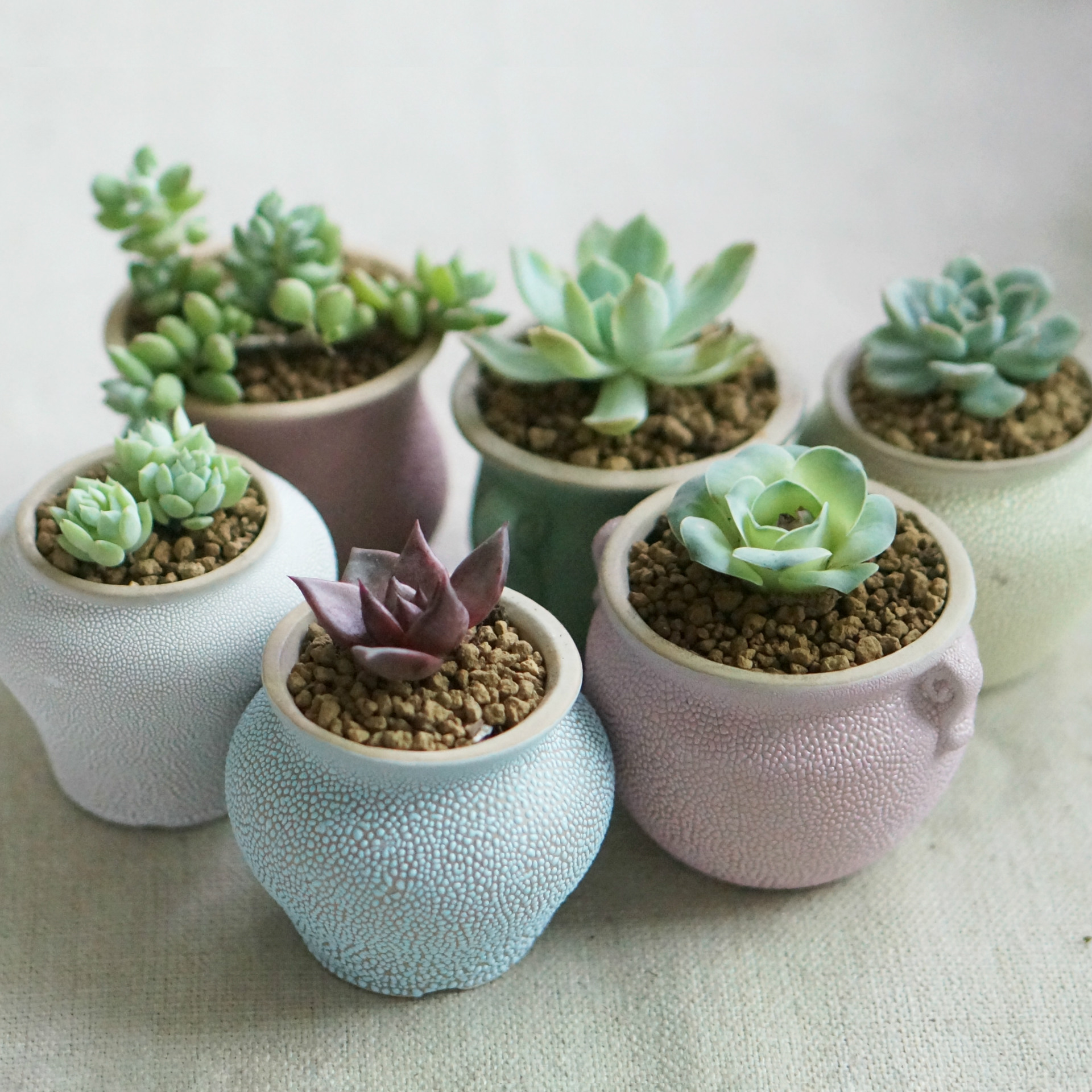 多肉植物花盆创意韩式小清新手工多肉花盆多肉陶瓷花盆批发花盆