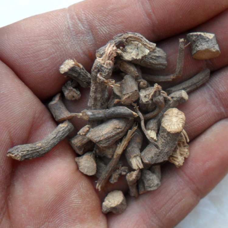 中药材 绞股蓝根 五爪金龙 乌蔹莓根 绞股兰根