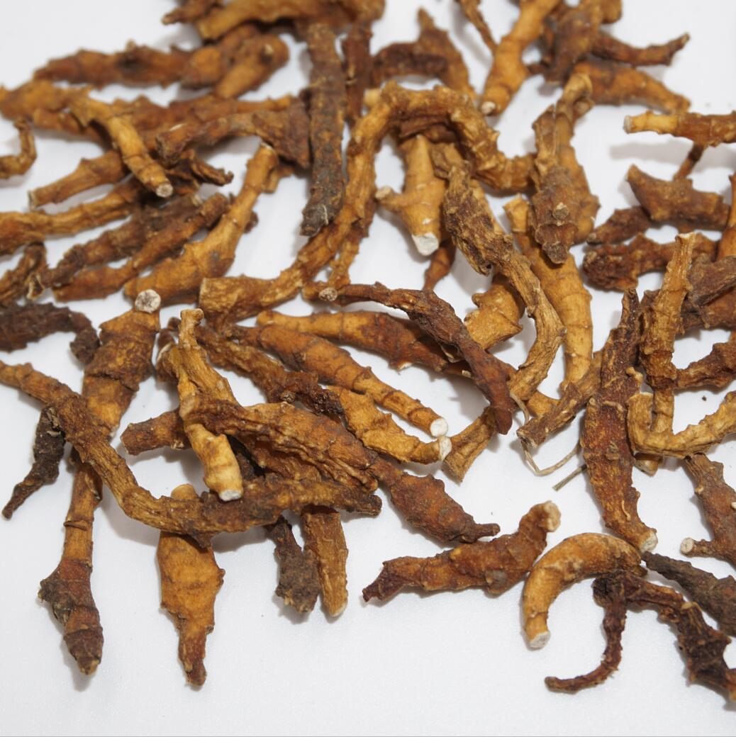 京菖蒲 节菖蒲 九节菖蒲 优质水洗无硫批发  量大从优 支持验货