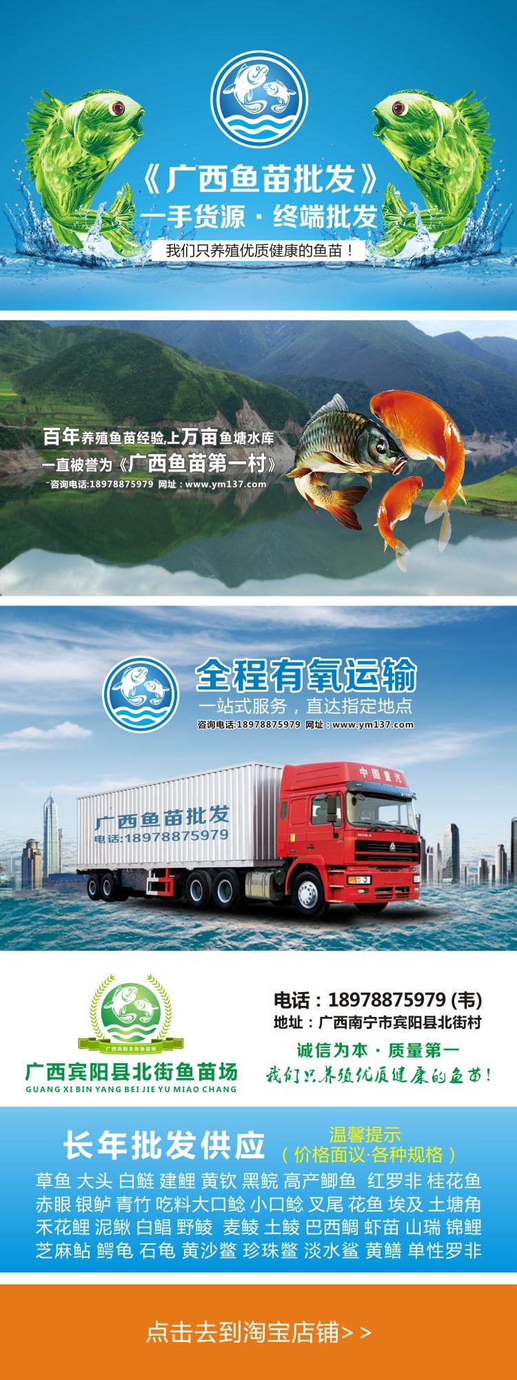 台湾泥鳅苗批发优质台湾泥鳅苗批发鱼苗批发淡水鱼台湾