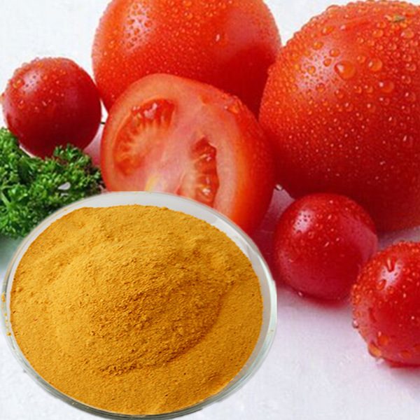 供应食品级番茄粉 脱水番茄粉 调味粉番茄