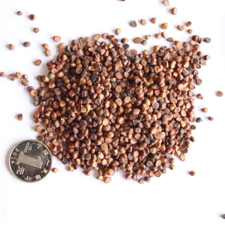 批发马兰种子 工程草花种子 马兰种子 量大优惠 马兰种子