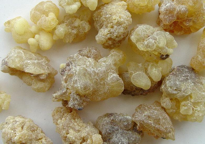 天泽香 乳香提取物 乳香酸 森冉生物厂家热销