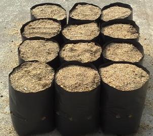 批发订做塑料加厚 三叶青种植袋 美植袋育苗袋营养袋育苗容器杯