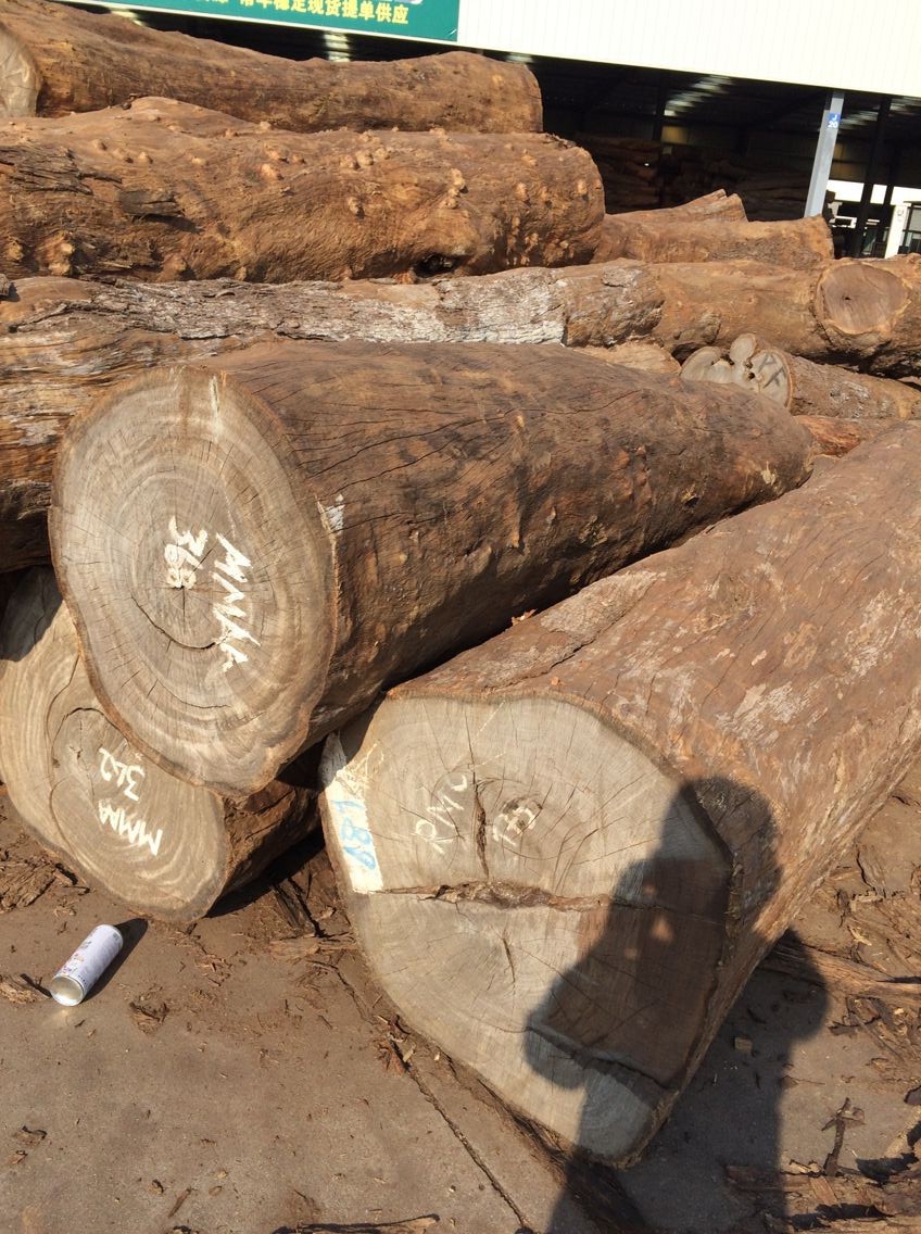 供应莫桑比克皮灰风车木板材 张家港原木板材市场防腐木定制批发