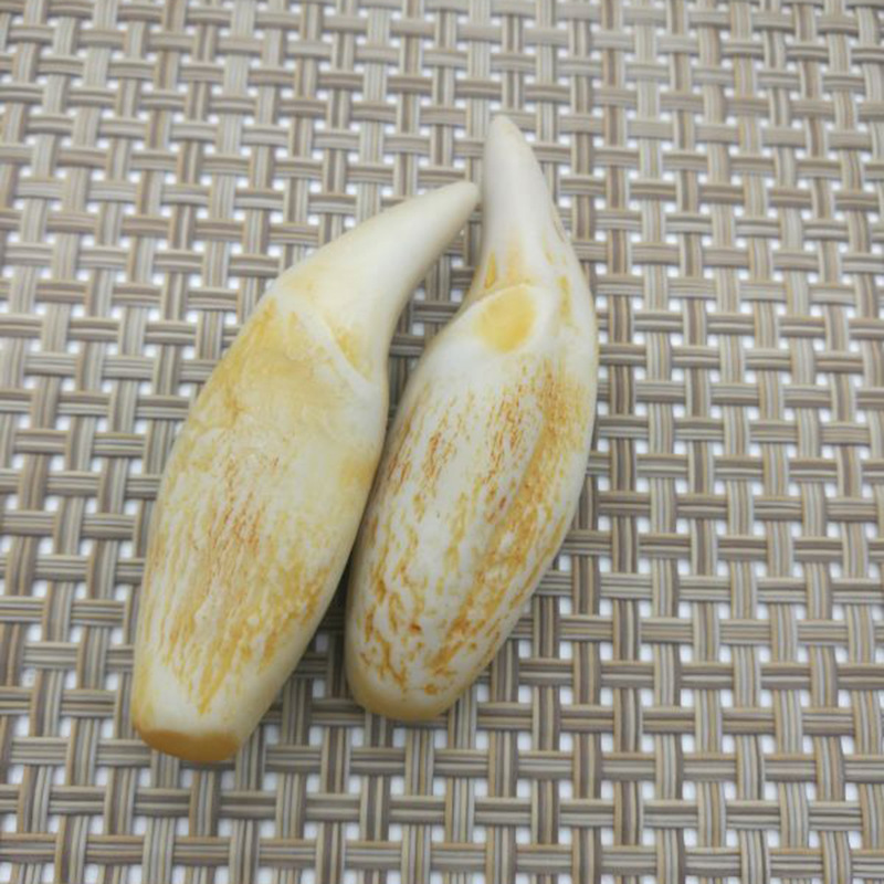 厂价批发古董地摊文玩古玩精美天然骨粉合成复古虎牙 熊牙吊坠