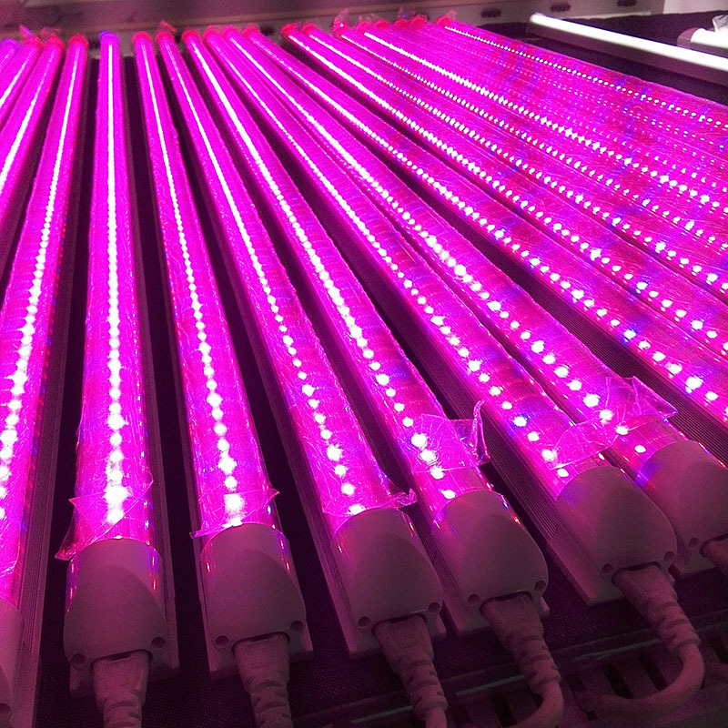 叶菜类植物种植照明补光灯 ledt5 t