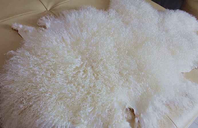 滩羊毛皮服装鞋子用滩羊皮羊羔毛领小饰品用毛羊皮