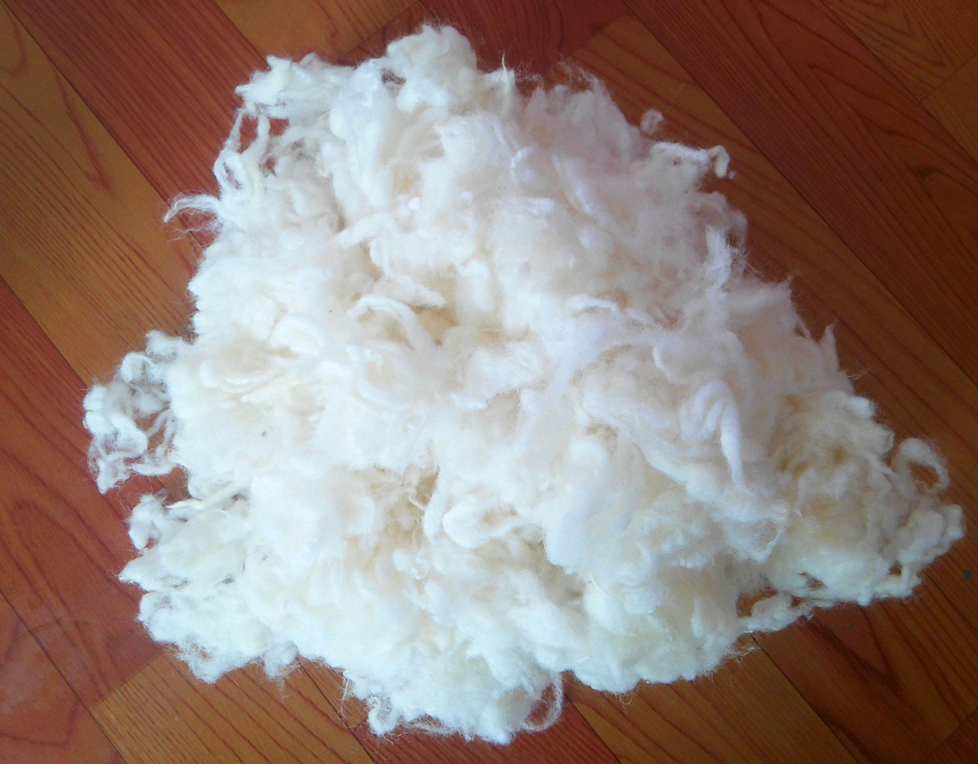 长期供应碳化英国羊毛羔毛批发优质58支(58s)毛纺原料英国羊毛