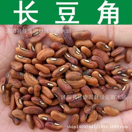 长豆角种子 姜豆 豇豆种子 四季角豆 长豇豆 1件=1斤