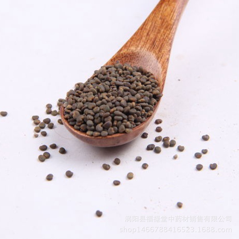 沙苑子批发供应 中药材 产地