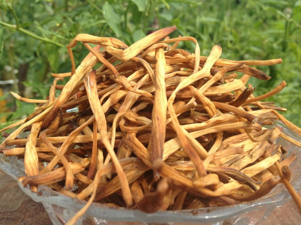 农家自种特级正宗黄花菜干货 忘忧草 金针菜干货批发 500g包邮