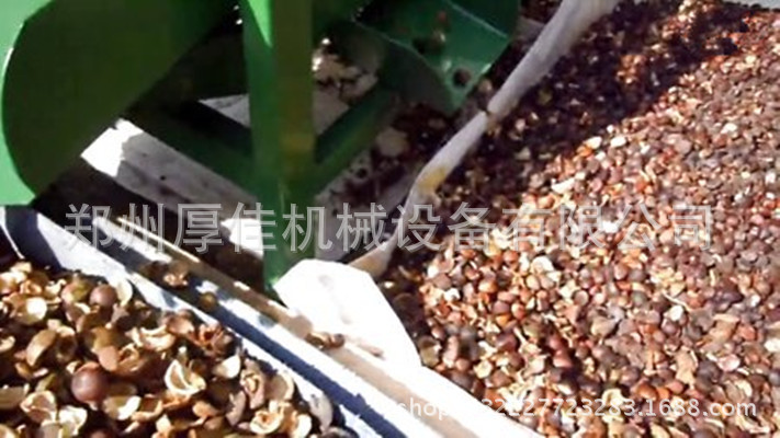 高效青茶籽剥壳机 油茶果剥壳机 电动茶籽